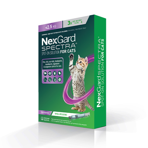 Nexgard spectra 2024 ear mites